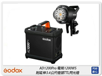 GODOX 神牛 AD1200 Pro 高速同步 TTL 閃光燈 攝影燈 棚拍 棚燈(AD1200Pro,公司貨)【跨店APP下單最高20%點數回饋】