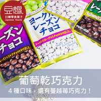【豆嫂】日本零食 正榮 優格葡萄乾巧克力(多口味)