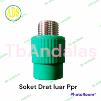 Male Thread Join Ppr Soket drat luar Ppr ½\ ¾\" 1\" inch"