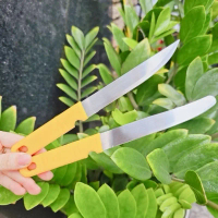 Dao cán vàng KINWI Siêu rẻ - Dao Thái Lan, dao gọt trái cây cán nhựa vàng 21cm