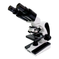 【hawkeye】40-2000倍 雙眼生物顯微鏡 上下LED可調光源 XY軸移動尺式平台 複式顯微鏡 黑色款(學生科展專用)