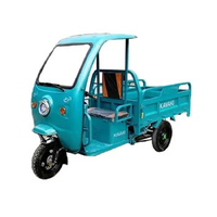 New Design Electric Tricycle Cargo Bike Approved Three Wheels Food Truck Passenger Vehicles House Bike Street Truck