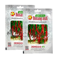 Benih Cabe Cabai Keriting JENGGO F1 Isi 1 gram Benih Bintang Asia