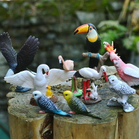 仿真野生動物模型實心飛鳥類微景觀兒童玩具飛禽老鷹鸚鵡天鵝環保