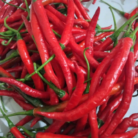 500 g Cabe Merah Kriting basah, Cabe kriting merah segar