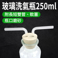 【MASTER】洗氣瓶 250ml 氣體洗滌瓶 玻璃器皿 萬能瓶 實驗器材 過濾水瓶 5-GWB250(過濾瓶 抽氣瓶 吸引瓶)