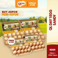 [FREE 10 PCS] QL Sandy Day 1 Egg - Medium 40pcs Fresh Egg Farm Fresh Egg Telur Segar