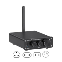 Mini Wireless Streaming Amplifier Integrated Amplifier Durable for Home Speakers