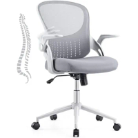 Home Office Chair Ergonomic Desk Chairs Mesh Computer with Lumbar Support Armrest Rolling Swivel Adjustable Grey