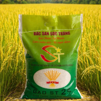 Gạo ST25 Thơm Mềm Dẻo Túi 10kg