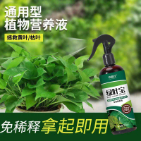50% off Natural Indoor Plant Leaf Shine Spray for Fiddle Leaf Fig Rubber Tree Indoor Plants Horticul