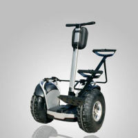 19 Inch Smart Intelligent Off Road Chariot Electric Golf E Self Balance Scooter