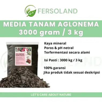 Media tanam aglonema 3kg | media tanam aglaonema red peacock widuri siap pakai | media tanam ferment