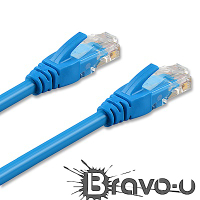 Bravo-u Cat6超高速傳輸網路線(5米) 2入組