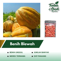 Benih Bibit Blewah Manis Kemasan Repack - Benih Sayuran