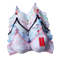 Lorina Sport Bra Bh Remaja Wanita Non Busa 6 PCS Katun Motif Bunga Olahraga