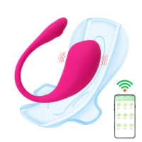 Panties Vibrator G Spot Massager 9 Modes Clitoris Stimulator Vibrating Egg Wearable Remote Control Female Sex Toys Wireless APP