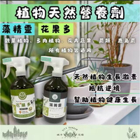 【粿女兒商行】🔥預購 藻精靈 花果多 500ml 植物營養劑 鹿角蕨 觀葉植物 多肉植物 仙人掌