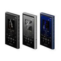 【SONY 索尼】NW-A306 Walkman數位音樂播放器(公司貨 保固12+6個月)