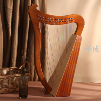 小豎琴 15/19弦萊雅琴 箜篌 初學者小型裏拉琴 小眾樂器 易學lyre琴 豎琴