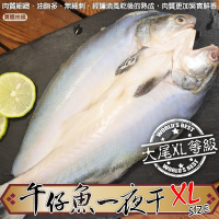 【海陸管家】台灣午仔魚一夜干XL號3尾(每尾260-300g)