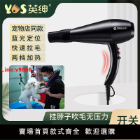 【台灣公司 超低價】英紳寵物電吹風機美容師專用拉毛寵物店掛脖藍光靜音貓狗狗吹風機