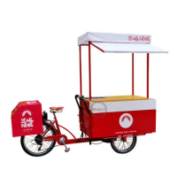 3 Wheel Food Bike Takeaway Reverse Riding Mobile Sale Trike for Adults Pedal Tricycles Snack Electric Bicycle
