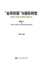 【電子書】“金砖四国”与国际转型：BRICs智库巴西峰会的思考