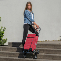 【ENOK】德國Andersen Scala SOFIA三輪爬梯購物車/野餐車(德國爬梯購物車/爬樓梯買菜車)