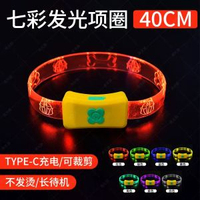 狗狗發光頸圈夜間遛狗夜光夜行燈大小型犬防走失帶燈充電寵物脖圈