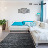 【山德力】混色長毛地毯140X200黑白紗(適用於客廳、起居室空間)
