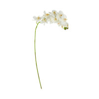 Bunga Artifisial 95 Cm Anggrek - Putih