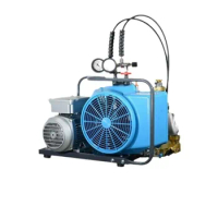 Air Pump Air Compressor Double-Headed Compressor