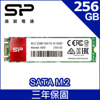 SP廣穎 M.2 2280 A55 256GB SSD 固態硬碟