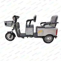 Electric Adult Tricycle From China for Adults