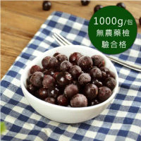 【幸美生技】加拿大進口冷凍野生藍莓-1kgx4包(無農藥殘留 重金屬 檢驗合格)