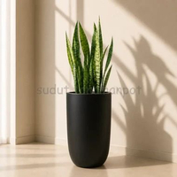 Pot Terakota Tinggi 60cm Minimalis Modern Model Kapsul D33T60 Hitam