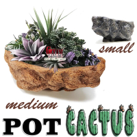 POT KAKTUS RELIEF SUKULEN TANAMAN CACTUS MINI GYMNO AGAVE ACHEVERIA