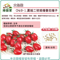 【綠藝家】大包裝G49-1.夏越二號矮種番茄種子30顆 番茄 番茄種子 西紅柿 番柿 小番茄 甘仔蜜