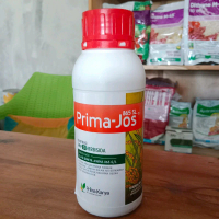 Prima-Jos 865sl Bahan Aktif : 2,4-D dimetil amina 865 g/l