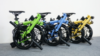 100% genuine mint Bob 3 folding bike