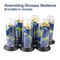 DIY Dinosaur Fossil Mammoth Tyrannosaurus Stegosaurus 4D Assembled Dinosaur Fossil Skeleton Model Toy Plastic PVC Animals K5