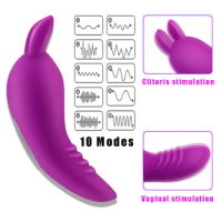 Wireless Remote Control Vibrator 10 Speed Virating Clitoral Vaginal Stimulator Wearable Panties Vibrating Egg Sex Toys for Women