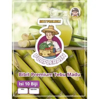 Bibit Premium Tebu Madu | Biji Benih Pohon Tebu Madu