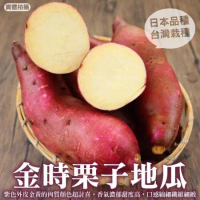 【果之蔬】日本品種金時栗子地瓜1箱(約10斤/箱)