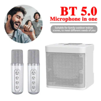 Dual Microphone Karaoke Machine for Adults and Kids Portable Bluetooth PA Speaker System with 2 Wireless Microphones for Home