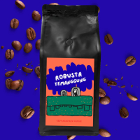 Biji kopi FINE ROBUSTA TEMANGGUNG 1KG KOPI
