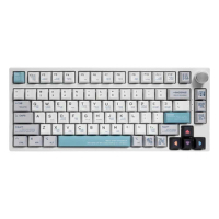 GamaKay TK75 75% GamaKay Silent Switch Triple Mode RGB Mechanical Gaming Keyboard with PBT Cherry Pr