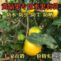 套袋專用芒果袋子柑橘橘子橙子臍橙楊桃枇杷番石榴防蟲紙袋水果-UM.有米家居