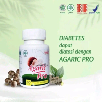 AGARIC Pro Jamu Herbal Asam Urat